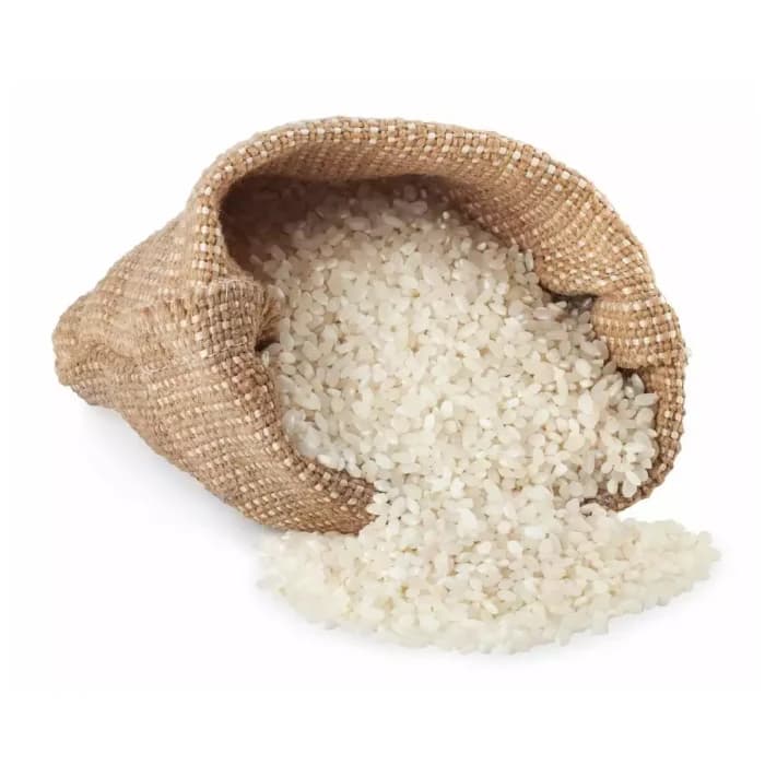 JAPONICA RICE