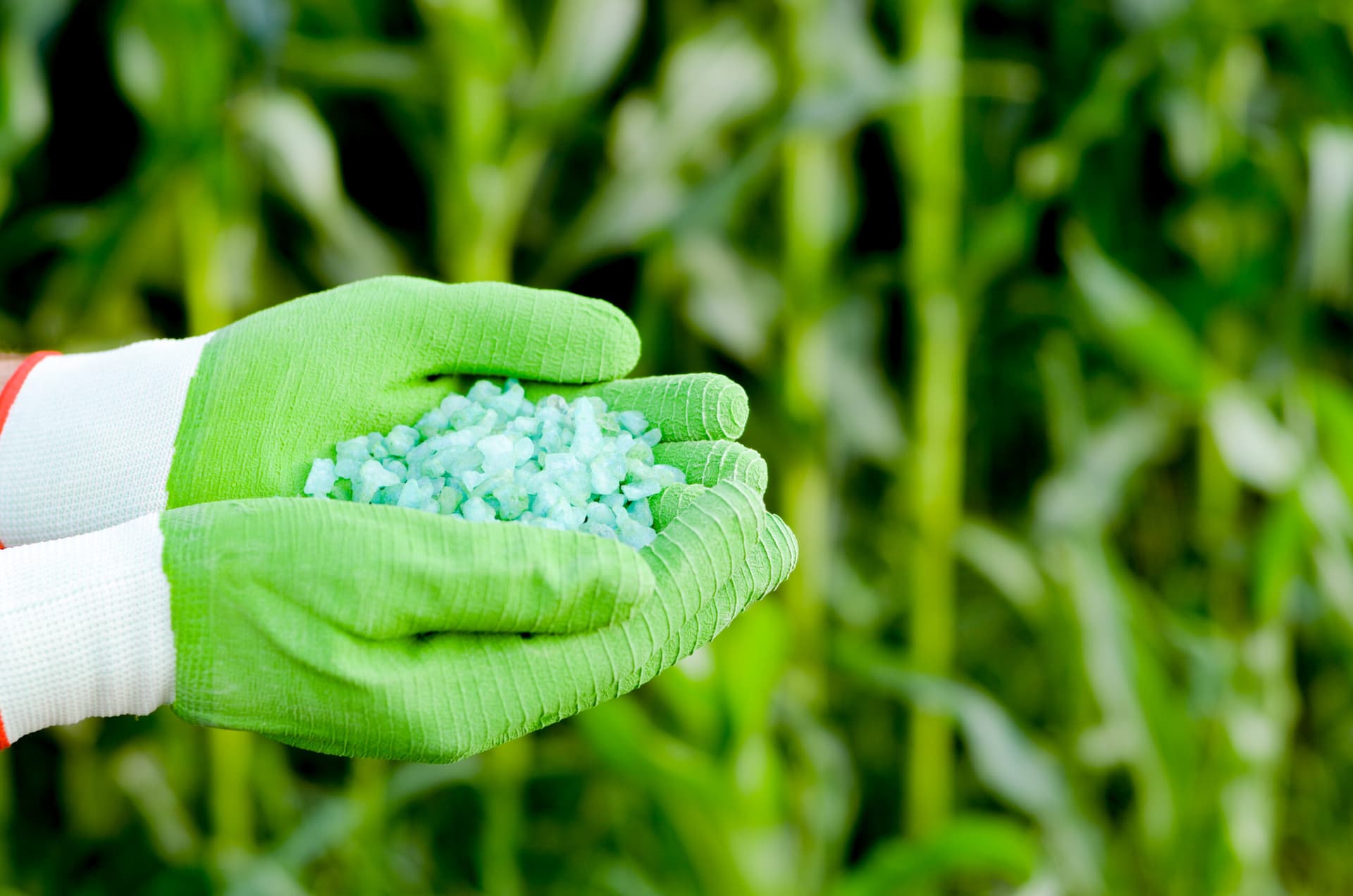 Fertilizer
